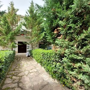 Villa Silvia b&b